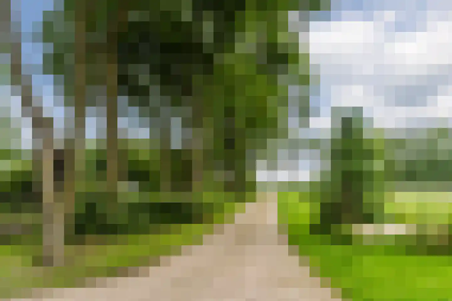 De Bleken 2 b Heeswijk-Dinther thumbnail 56