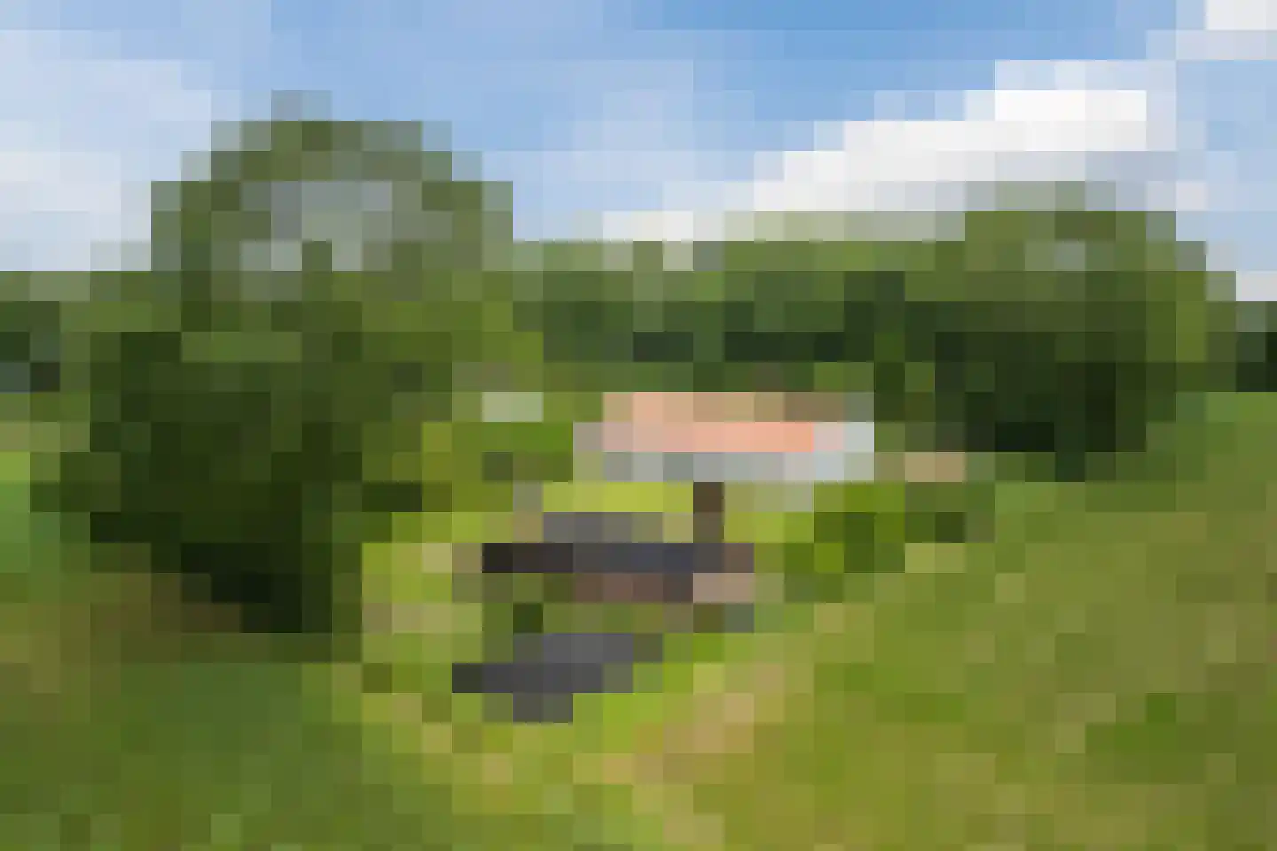 De Bleken 2 b Heeswijk-Dinther thumbnail 57
