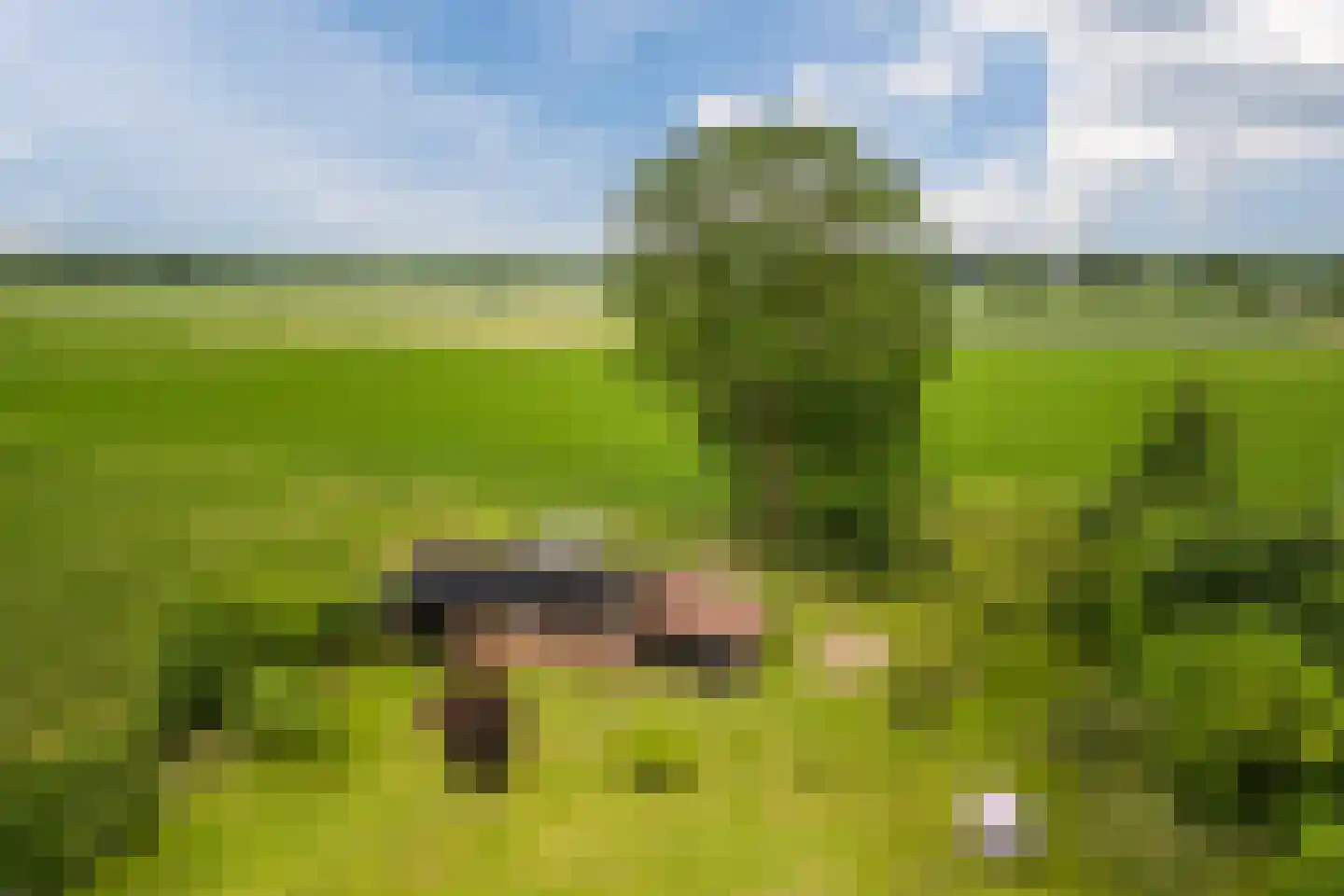 De Bleken 2 b Heeswijk-Dinther thumbnail 61