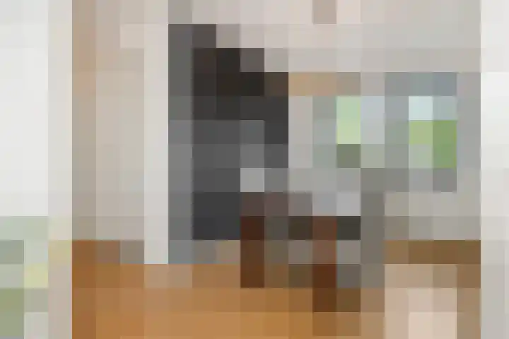 De Bleken 3 Rosmalen thumbnail 10