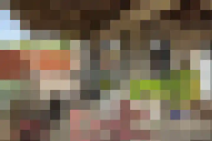 De Bleken 3 Rosmalen thumbnail 18