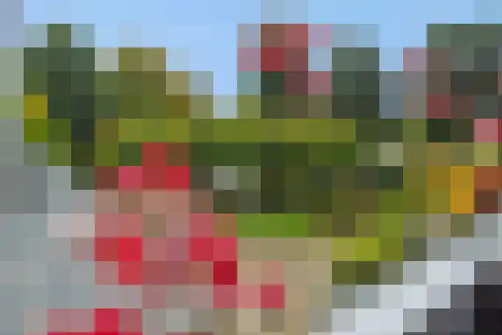 De Bleken 3 Rosmalen thumbnail 20