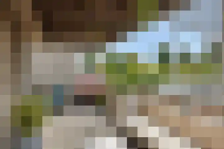 De Bleken 3 Rosmalen thumbnail 22