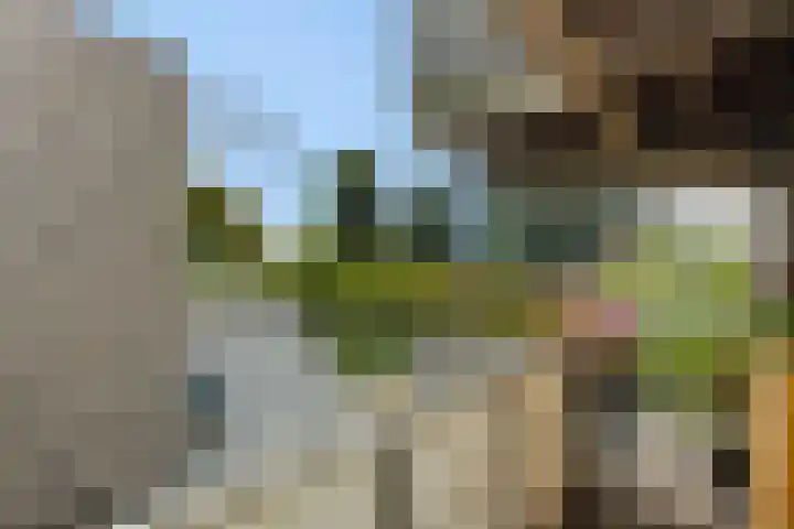 De Bleken 3 Rosmalen thumbnail 23