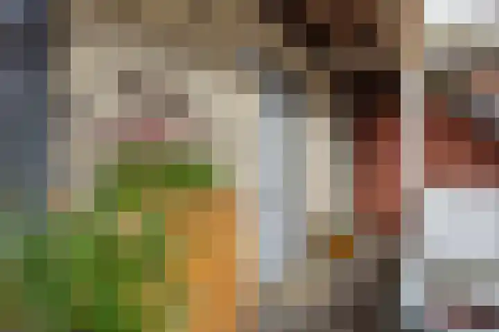 De Bleken 3 Rosmalen thumbnail 24