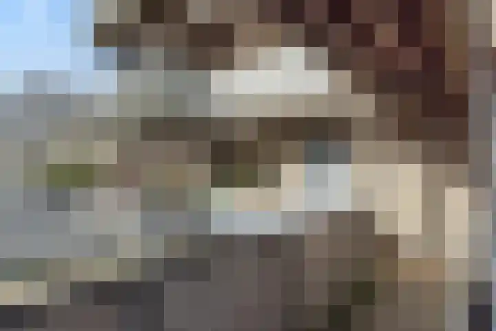 De Bleken 3 Rosmalen thumbnail 25