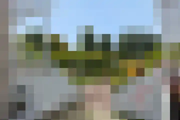 De Bleken 3 Rosmalen thumbnail 27