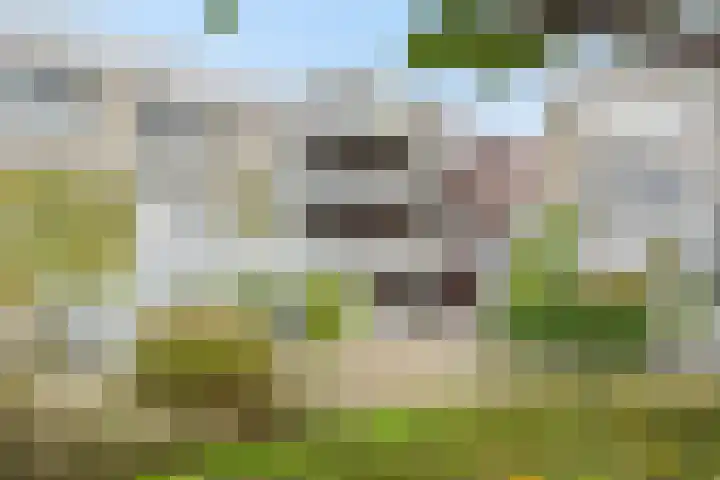 De Bleken 3 Rosmalen thumbnail 28