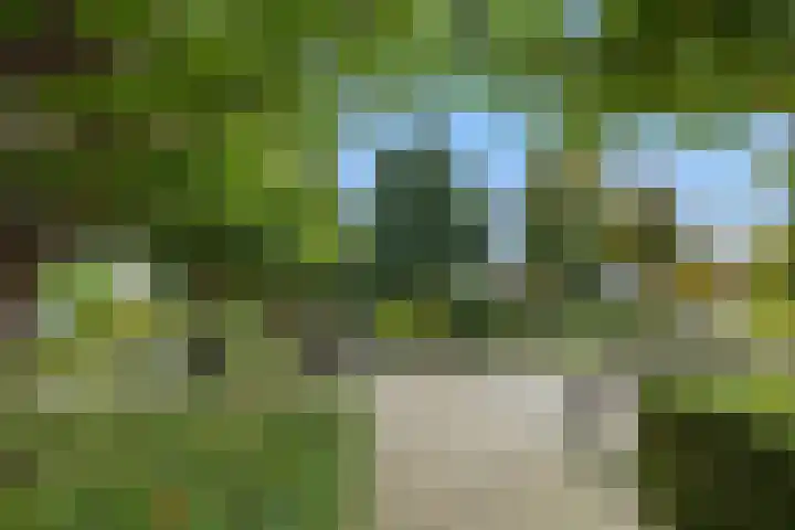 De Bleken 3 Rosmalen thumbnail 29