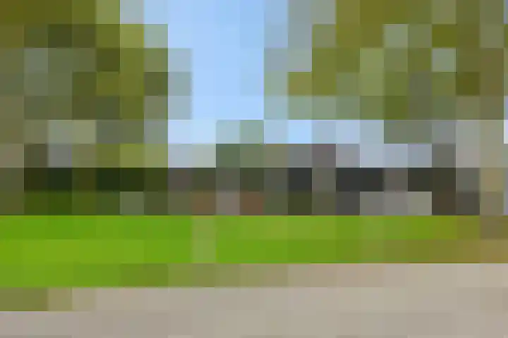De Bleken 3 Rosmalen thumbnail 34