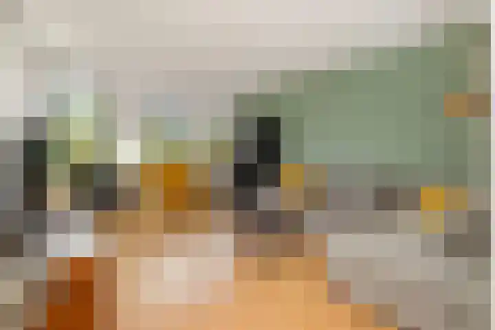 De Bleken 3 Rosmalen thumbnail 4