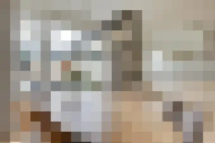 De Bleker 14 Veldhoven thumbnail 11