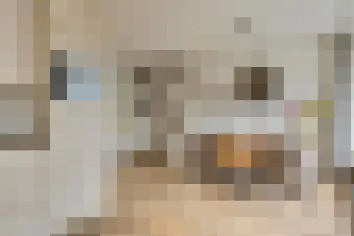 De Bleker 14 Veldhoven thumbnail 12
