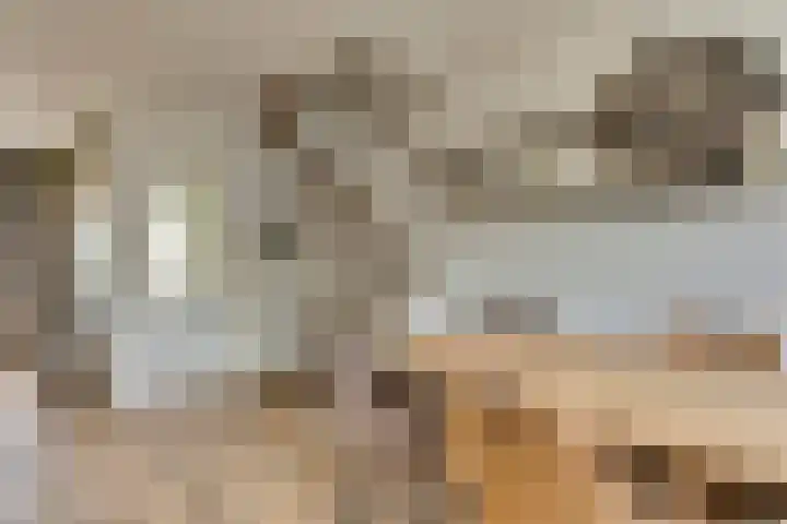 De Bleker 14 Veldhoven thumbnail 14