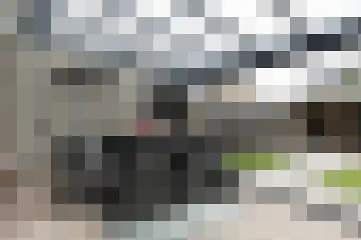 De Bleker 14 Veldhoven thumbnail 27