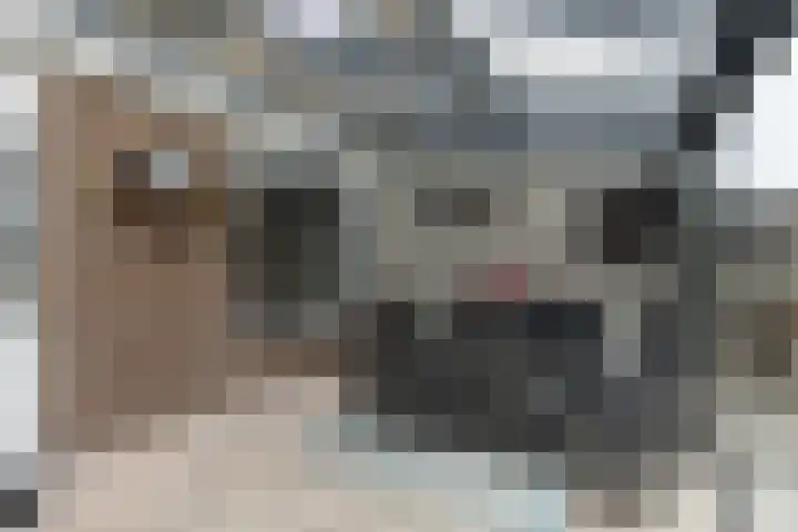 De Bleker 14 Veldhoven thumbnail 28