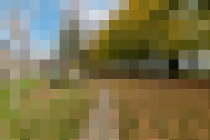 De Bleker 14 Veldhoven thumbnail 34