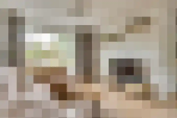 De Bleker 14 Veldhoven thumbnail 7