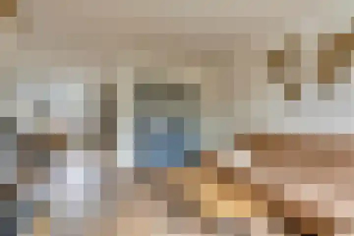 De Bleker 14 Veldhoven thumbnail 8
