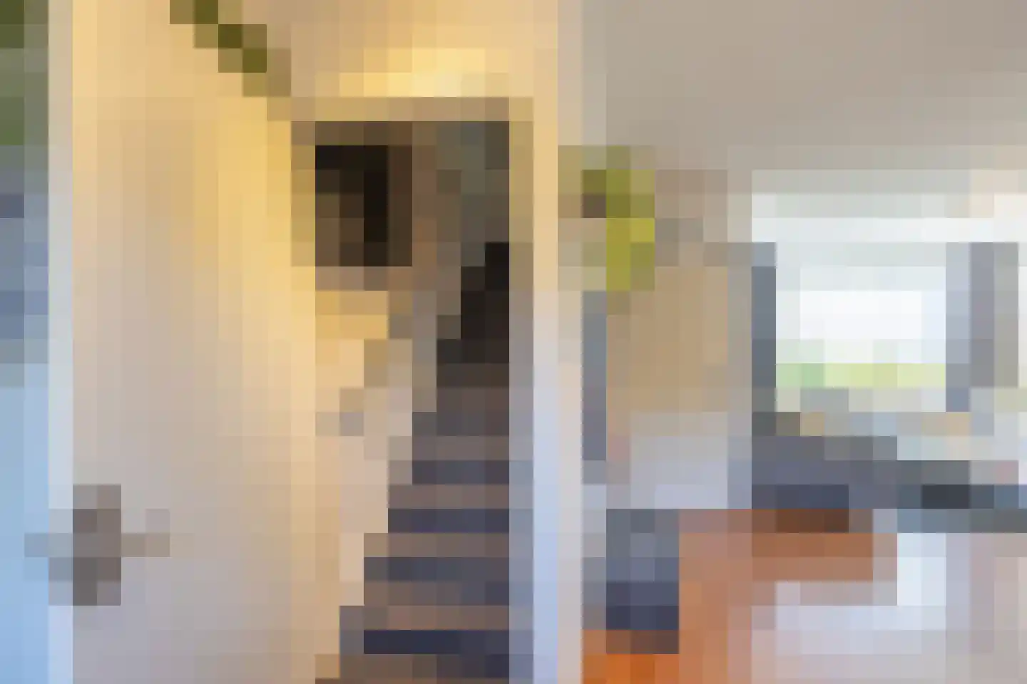 De Bleker 15 Veldhoven thumbnail 15