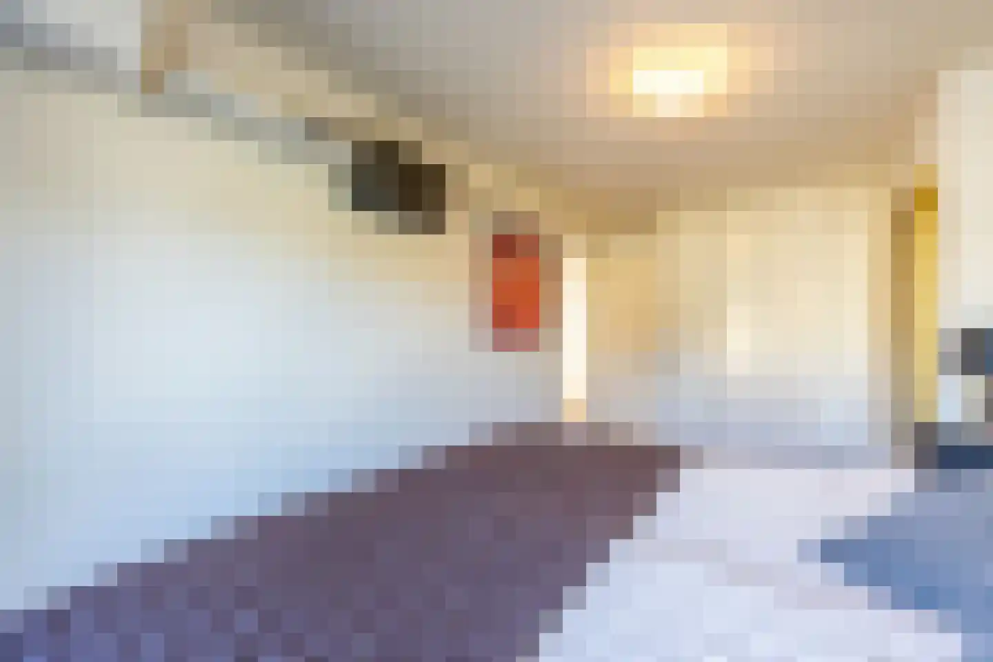 De Bleker 15 Veldhoven thumbnail 20