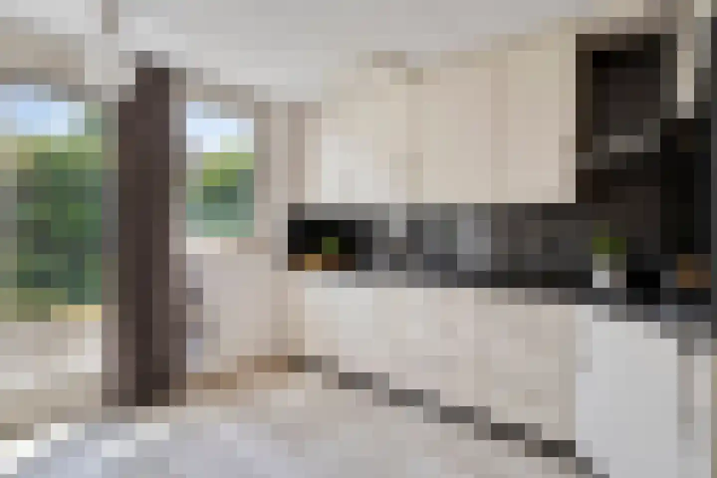 De Bleker 2 Berlicum thumbnail 11