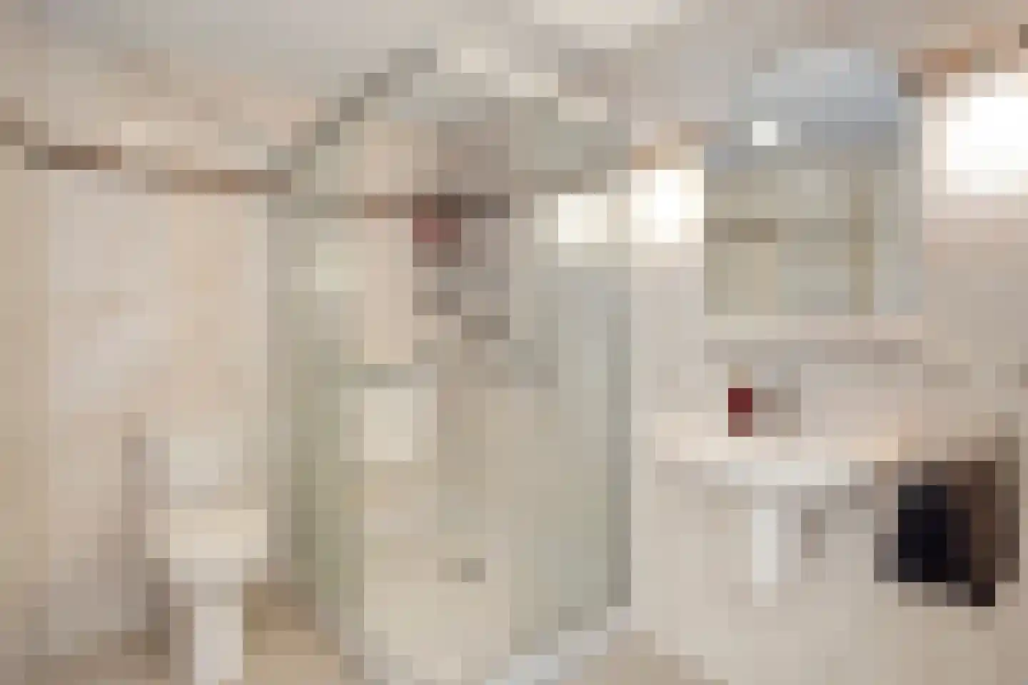 De Bleker 2 Berlicum thumbnail 18