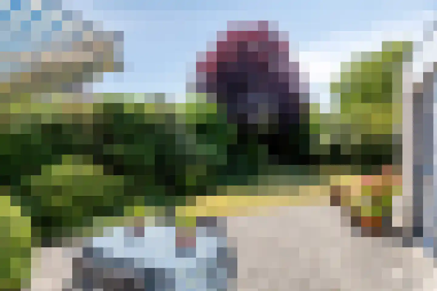 De Bleker 2 Berlicum thumbnail 38