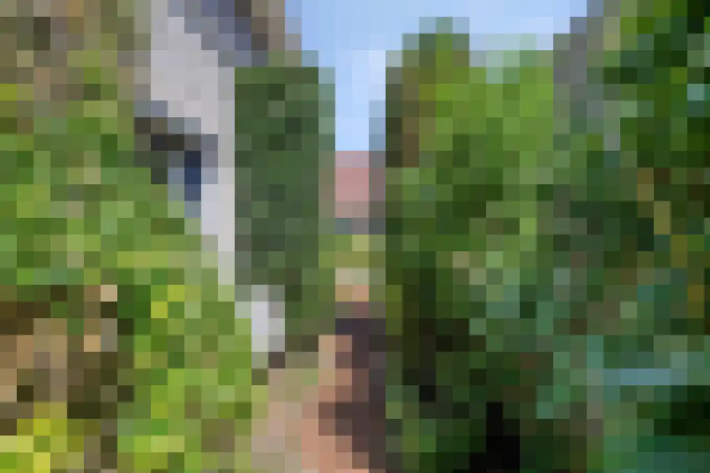 De Bleker 2 Berlicum thumbnail 40