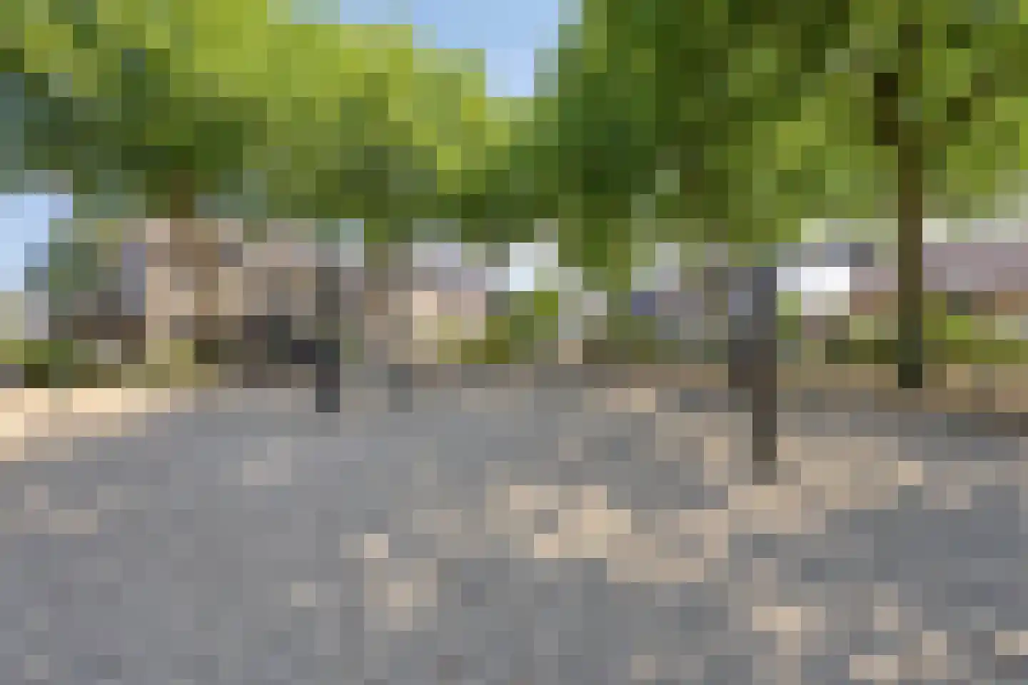De Bleker 2 Berlicum thumbnail 44
