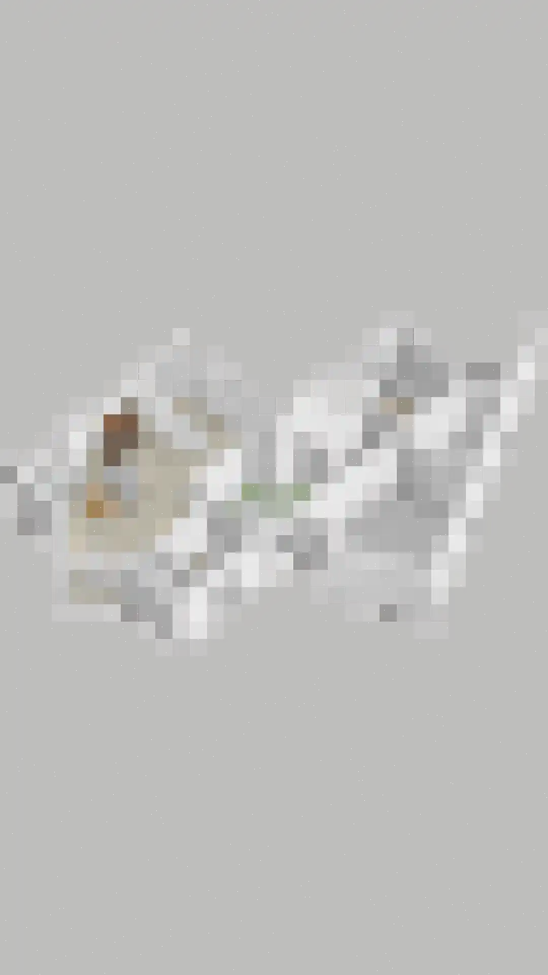 De Bleker 2 Berlicum thumbnail 50