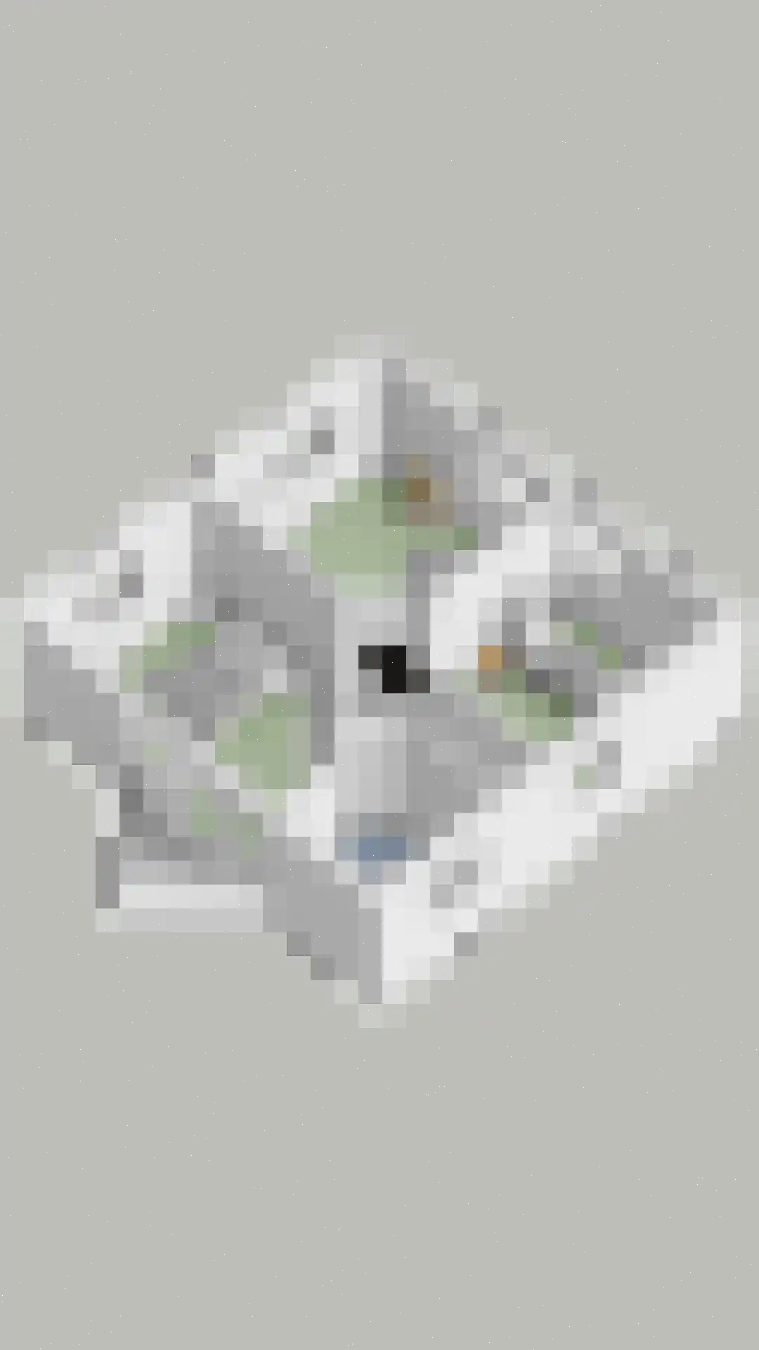 De Bleker 2 Berlicum thumbnail 51