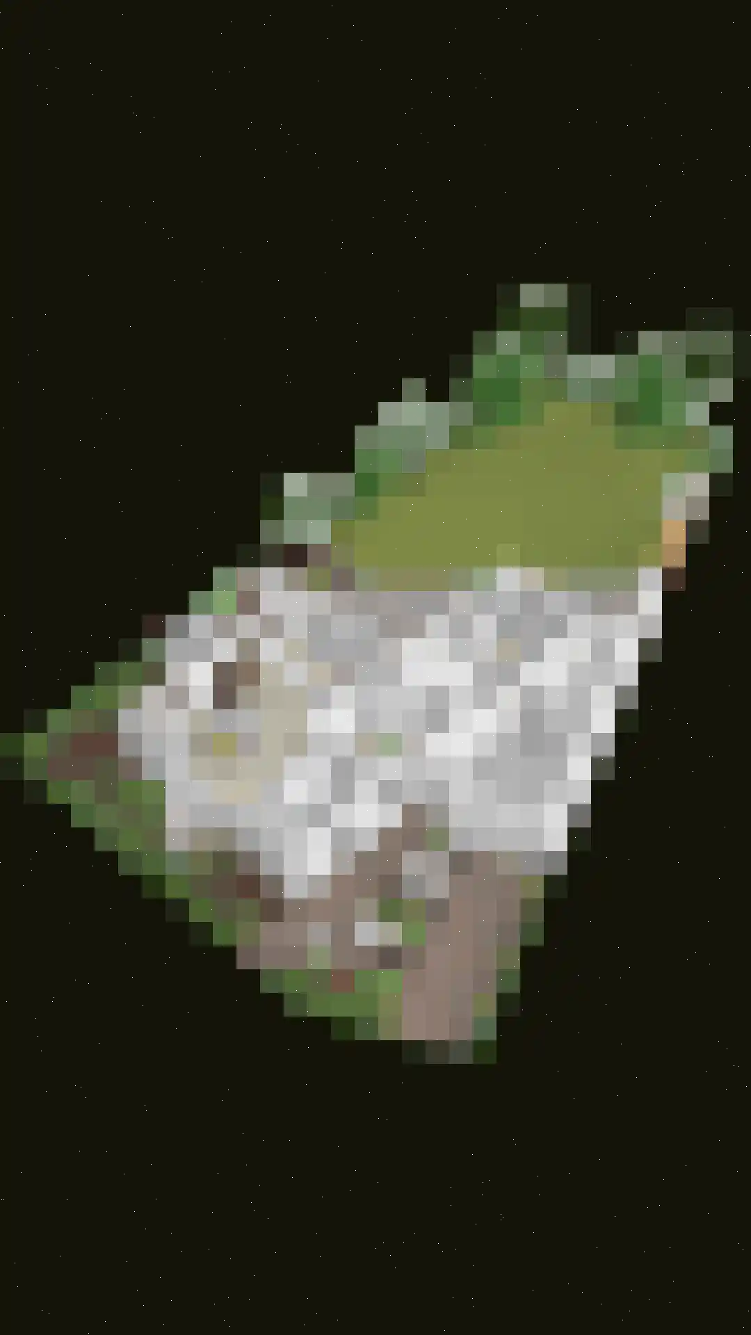 De Bleker 2 Berlicum thumbnail 53