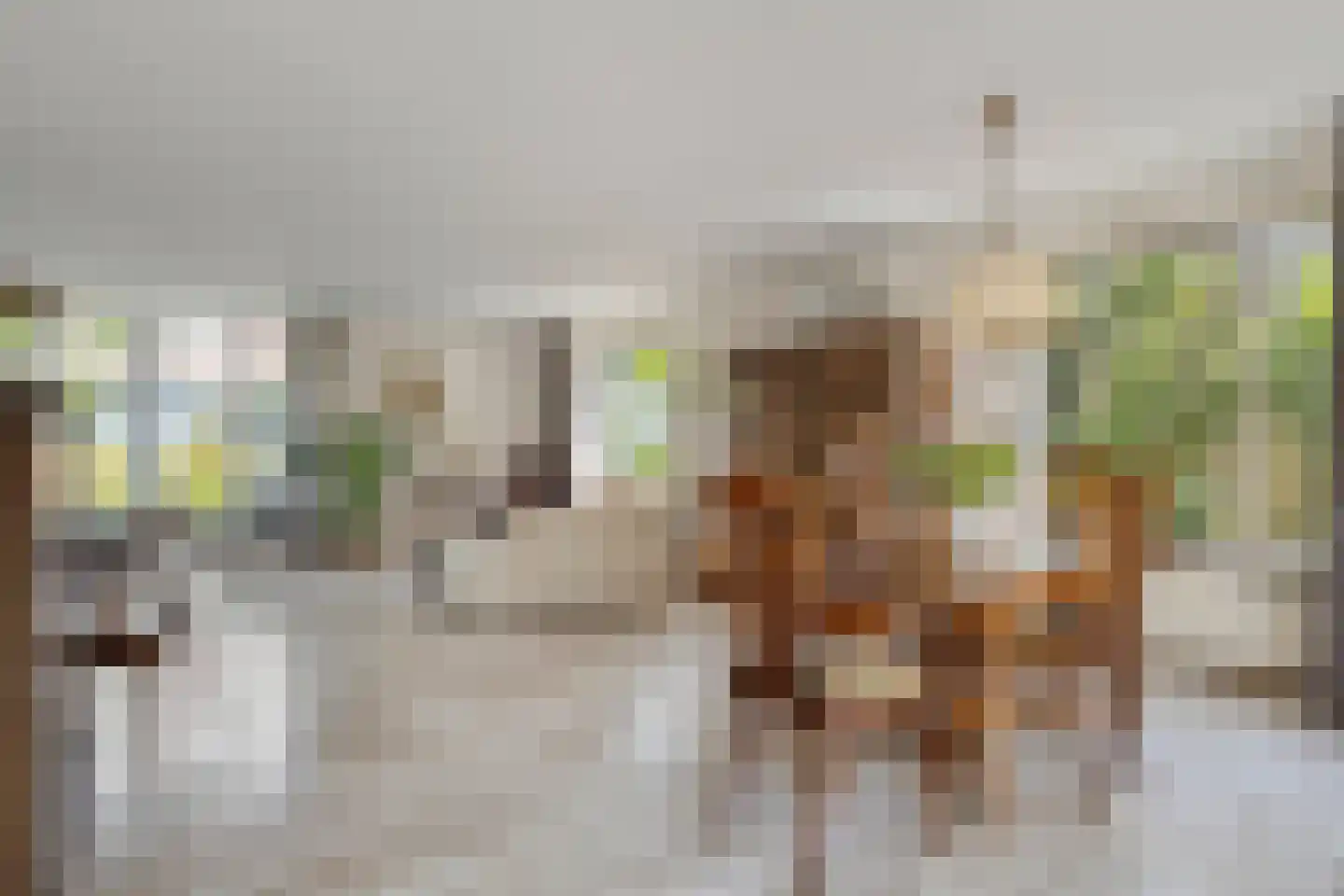 De Bleker 2 Berlicum thumbnail 8