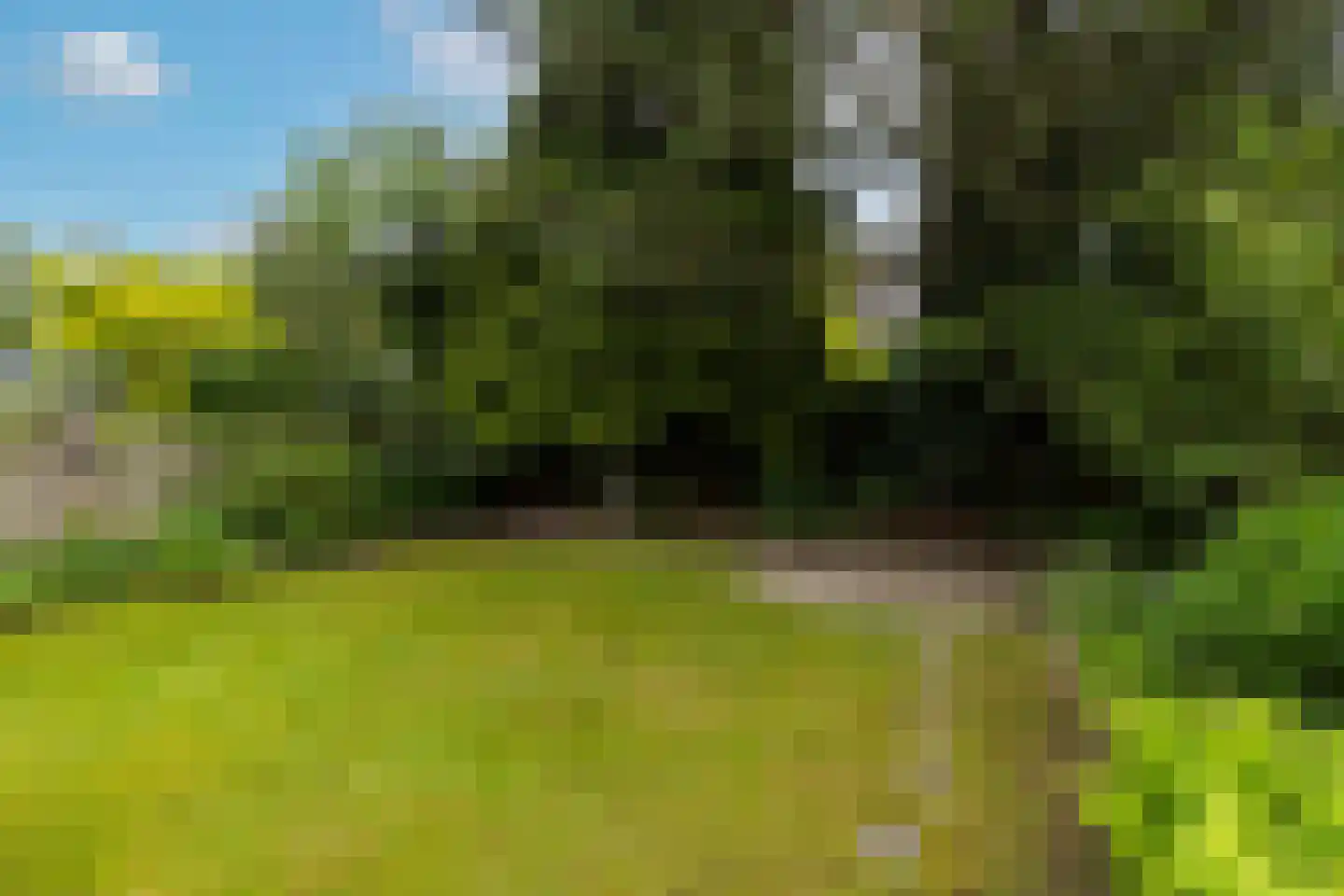De Bleker 43 Veldhoven thumbnail 45