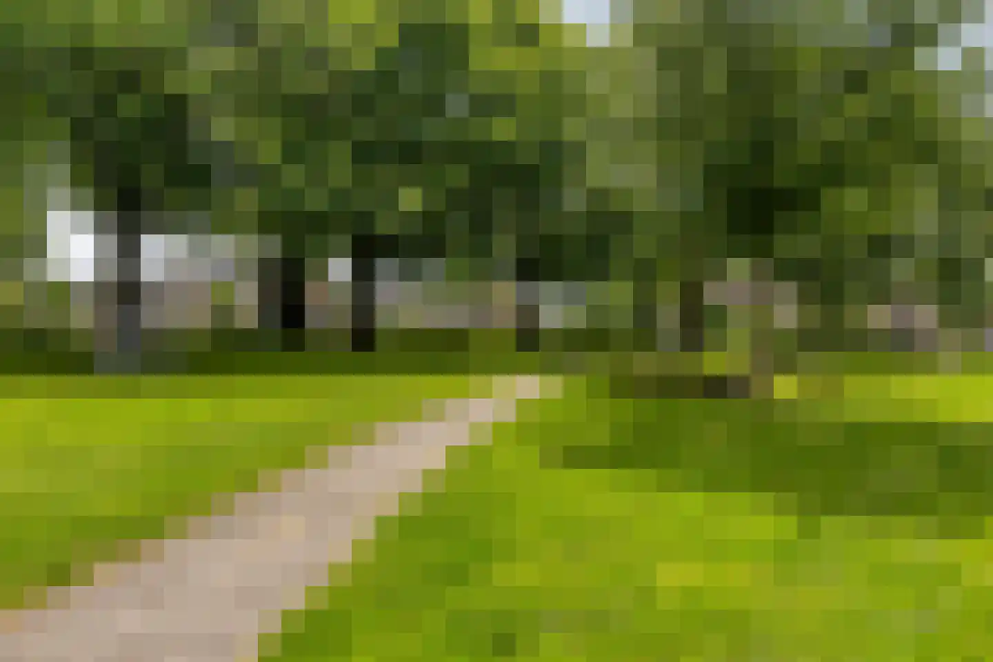 De Bleker 46 Veldhoven thumbnail 5