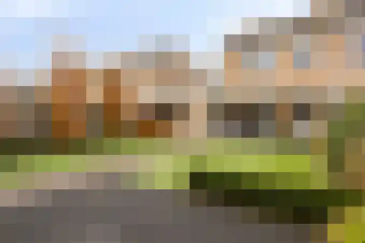 De Bleker 59 Veldhoven thumbnail 31