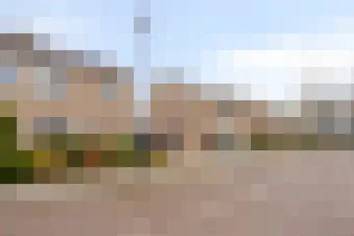 De Bleker 59 Veldhoven thumbnail 34
