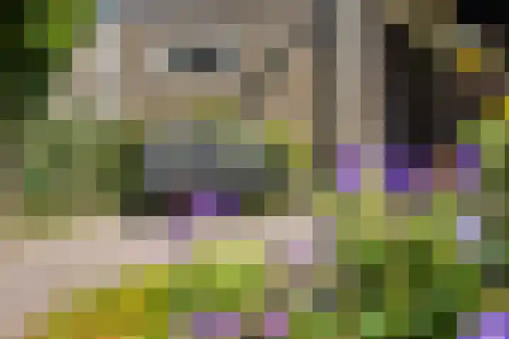 De Bleker 8 Veldhoven thumbnail 37