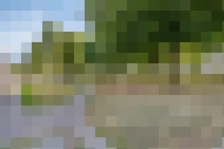De Bleker 8 Veldhoven thumbnail 39