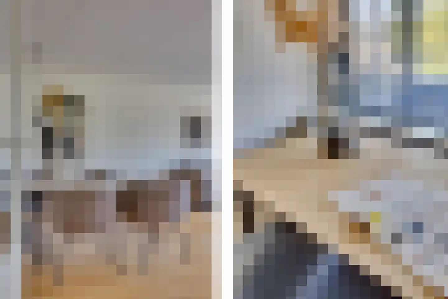 De Blekerij 14 Leusden thumbnail 11