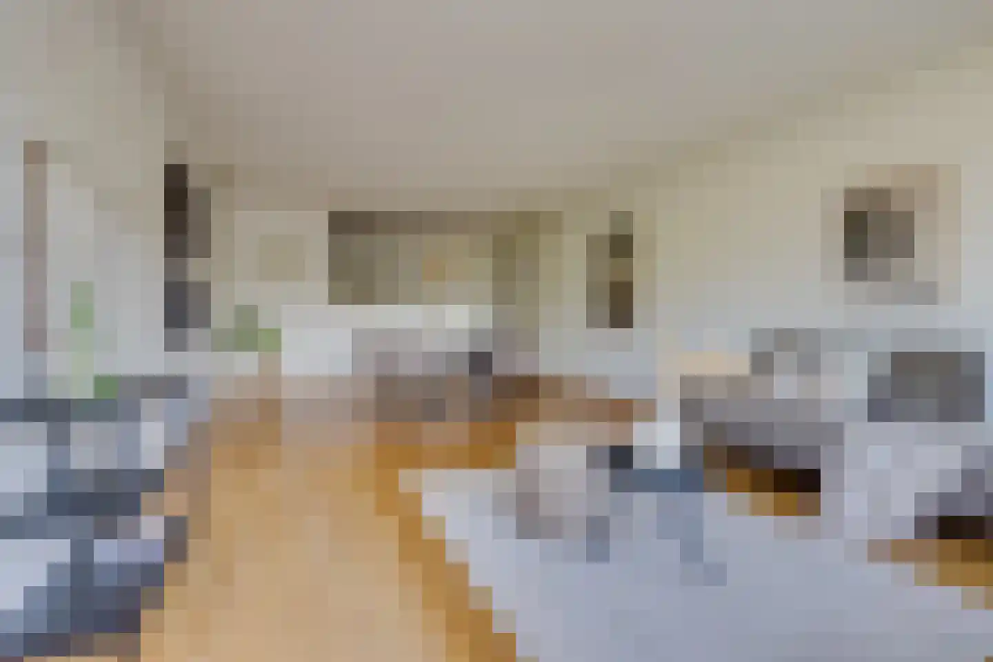 De Blekerij 14 Leusden thumbnail 12