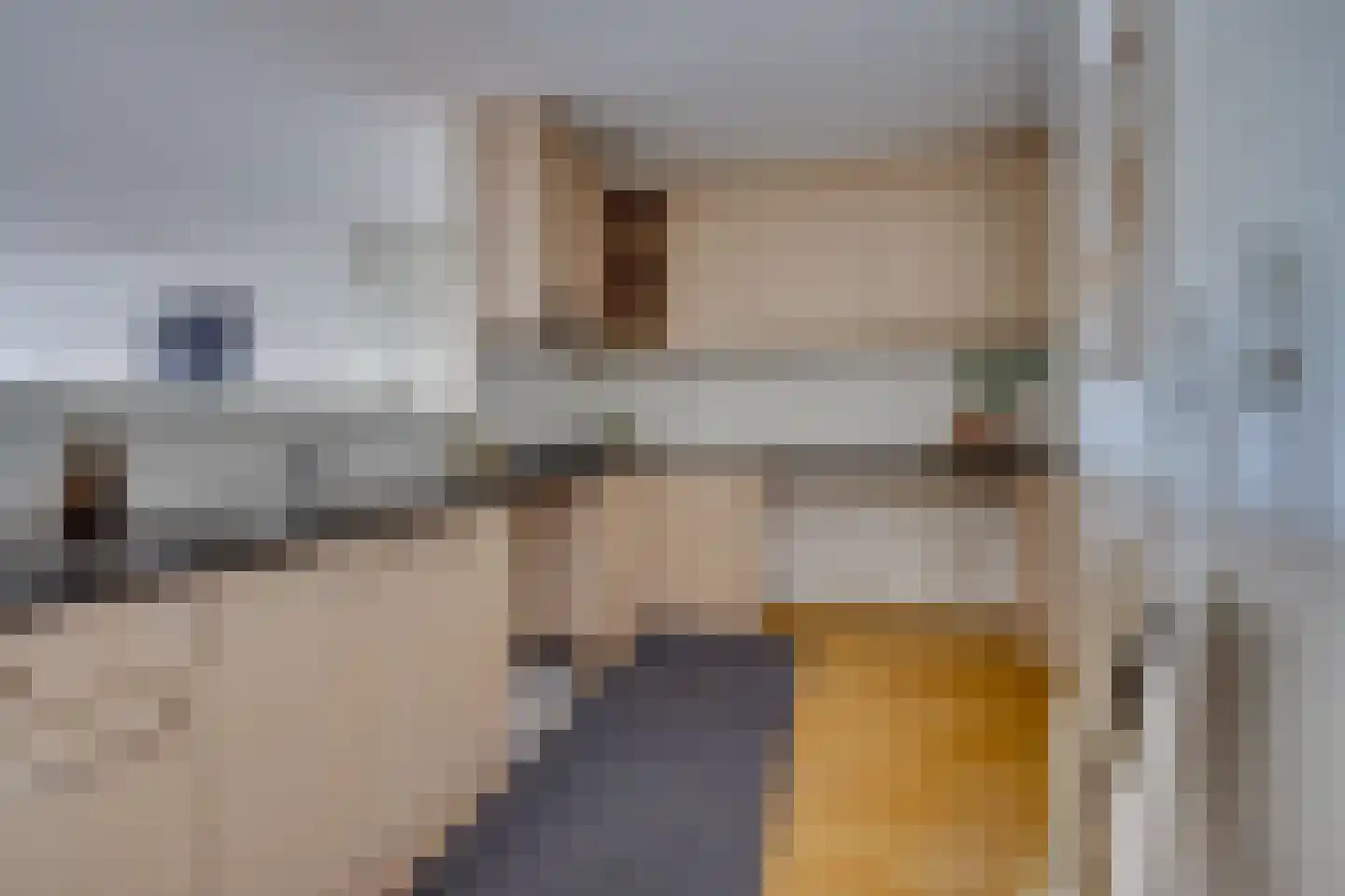 De Blekerij 14 Leusden thumbnail 15
