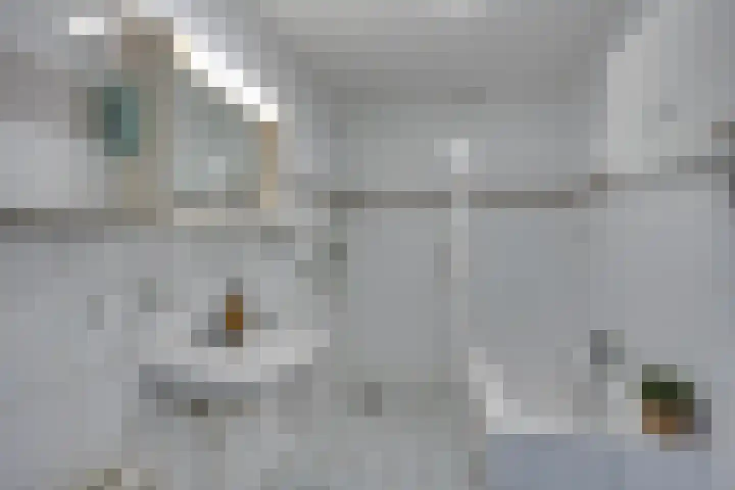 De Blekerij 14 Leusden thumbnail 23