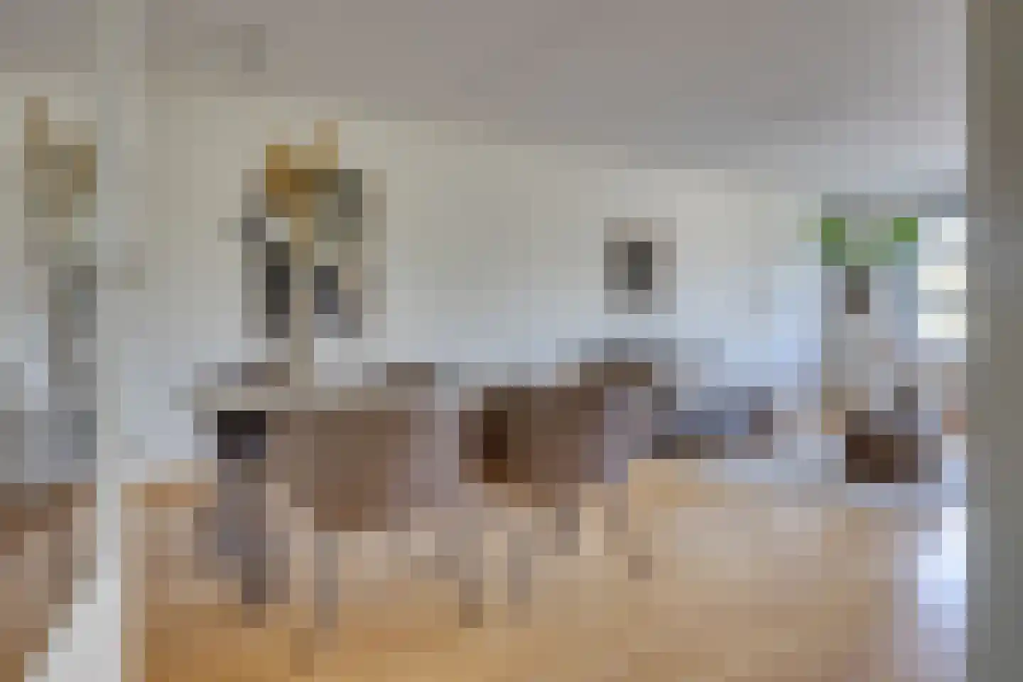 De Blekerij 14 Leusden thumbnail 6