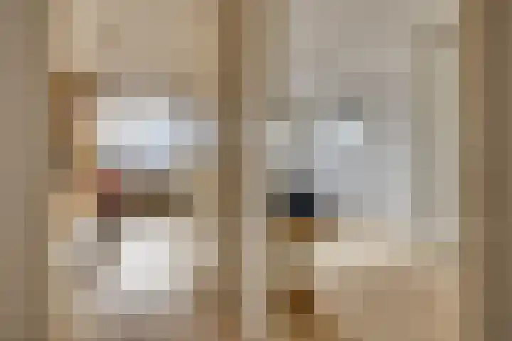 De Blekerij 31 Leusden thumbnail 14