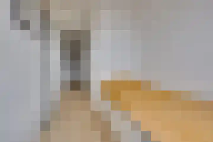 De Blekerij 31 Leusden thumbnail 16