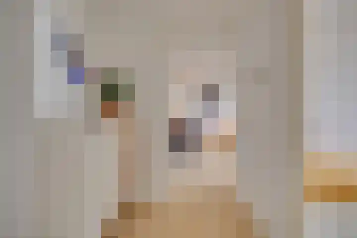 De Blekerij 31 Leusden thumbnail 5