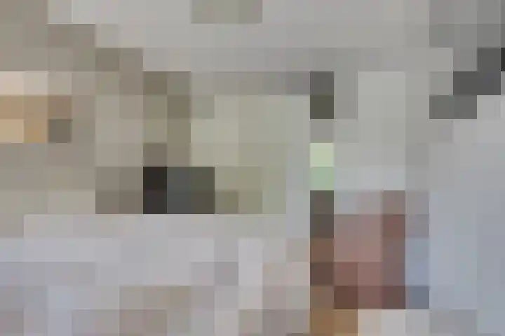 De Blekerij 7 Leusden thumbnail 12