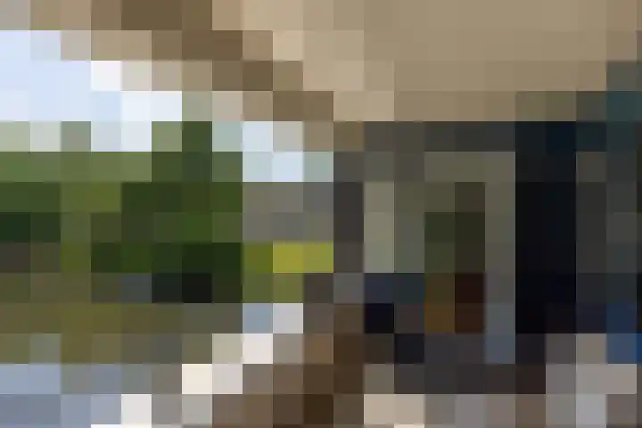 De Blekerij 7 Leusden thumbnail 20
